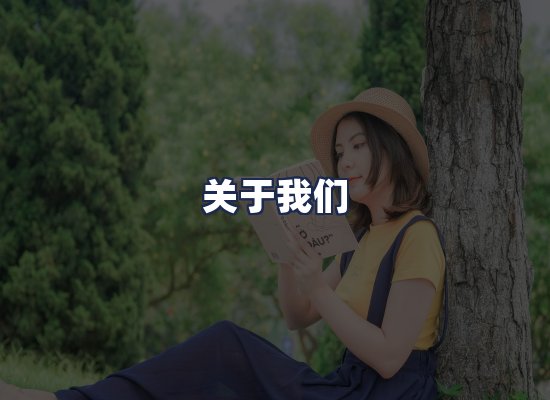 关于我们